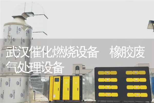 武汉催化燃烧设备 橡胶废气处理设备